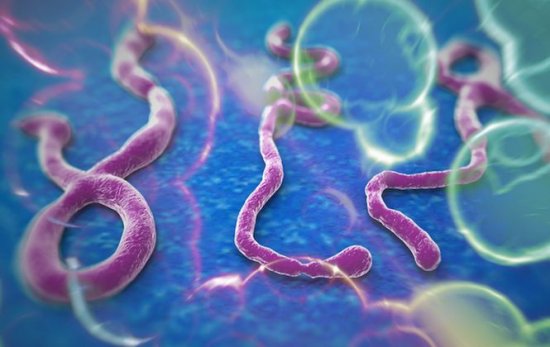 OMS: Epidemia de Ebola avansează mai rapid decât mobilizarea pentru limitarea ei. Consecinţele ar putea fi catastrofale 407