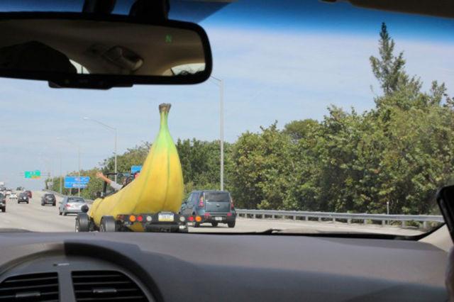 Acestui şofer nu i-a venit să creadă ce vede în faţa lui, pe autostradă