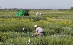 Cioloş: Subvenţii cu 20% mai mari pentru fermierii care arendează terenurile agricultorilor activi