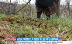 Over 500,000 hectares of agricultural land in Romania left prey to the weeds