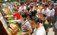 Bacalaureat 2013. Descarcă de AICI fişa de înscriere la examen. Vezi calendarul probelor de la BAC