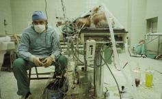 "Când intră în sala de operaţie este Dumnezeu". FOTOGRAFIA fenomen, care a inspirat milioane de oameni