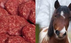 Arestări în scandalul carnii de cal: Şeful unei companii din Olanda a fost reţinut