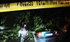 Trafic rutier blocat, copaci smulşi din rădăcini, maşini avariate. Vezi cum va fi vremea