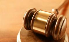 Andra Râşnoveanu, condamnată definitiv în dosarul ANL, a revenit în ţară şi s-a predat