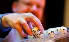 Este URIAŞ, iar viaţa unui român va fi schimbată RADICAL. Ce numere au fost extrase la Loto 6/49