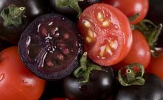 Tomatele VIOLET, mai proaspete şi mai atrăgătoare, dar CU CE PREŢ. Tu le-ai consuma?