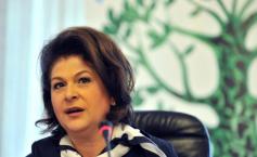 Rovana Plumb: Nu este cazul ca USL să se împiedice de Sorin Roşca Stănescu