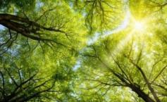 Ce surprize ne rezervă vremea în următoarele zile. Vezi prognoza meteo