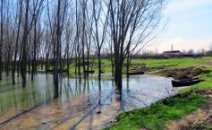 Cod galben de INUNDAŢII pe Dunăre. Şapte judeţe sunt vizate de atenţionarea valabilă până pe 26 iunie