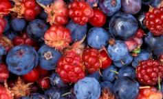 Un nou scandal alimentar zguduie România. Am exportat fructe de pădure cu virus hepatic A