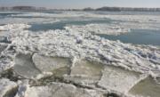 Blocuri de gheaţă pe Dunăre: Navigaţia cu bacul, întreruptă la Calafat şi Bechet