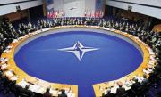 Aliaţii NATO trebuie să bage adânc mâna în buzunare. SUA cer un miliard de dolari pentru Kabul