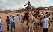 http://www.antena3.ro/thumbs/left/2012/05/18/sportul-cel-mai-popular-din-desertul-yemenit-este-saritura-peste-camile-147105.jpg