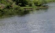 Un bărbat care pescuia pe Lacul Morii din Capitală a dispărut din barcă. Mai mulţi scafandrii ISU au început căutările