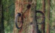 Un copac a adoptat o bicicletă. Arborele atrage mii de turişti în Scoţia
