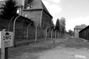 Doi turişti din Ungaria au încercat să fure cărămizi de la Auschwitz. Ce pedeapsă au primit