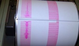 Nou cutremur în judeţul Vrancea, la şase ore după primul seism