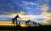 Cercetare SUA: Petrolul ar putea scădea şi mai mult pe fondul reducerii cererii în 2009
