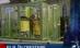 INS: Produsul intern brut pe 2008 a fost de 7,1%, în creştere faţă de 2007