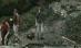 Trupul unui turist dispărut în Caraiman acum şase luni, dezgropat de furtună (VIDEO)