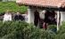 Au apărut fotografiile de la "orgiile" lui Berlusconi la vila sa din Sardinia! (FOTO)