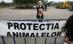 Organizaţiile pentru protecţia animalelor au pichetat sediul Parlamentului