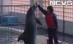 Trei delfini din China, aduşi la Delfinariul din Constanţa (VIDEO)