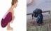 Yoga, activitatea favorită a beţivilor (FOTO)