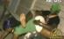Dans sau sex? Cum se distrează africanii în discotecă (VIDEO)
