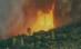 Incendiu devastator în Chile: 15 case distruse şi mai multe hectare de pădure arse în întregime