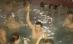 Revelion în slip, la Braşov: Zeci de turişti au trecut în noul an din... piscină - VIDEO
