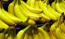 Comercianţii din Madrid, la un pas de a vinde banane cu... heroină