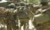 Militar român, rănit în Afganistan: Autovehiculul în care se afla a trecut peste un dispozitiv exploziv 