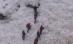 Schiorul disparut sâmbătă în munţii Făgăraş a fost găsit mort (VIDEO)
