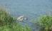 Tânără neidentificată, găsită moartă în Canalul Dunăre - Marea Neagră