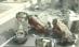 Noul bilanţ al seismului din Chile: Sute de morţi, 2 milioane de sinistraţi (VIDEO)