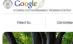 Şi-au botezat oraşul "Google" pentru că vor internet mai rapid 