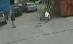 Un bătrânel şi-a văzut moartea cu ochii de două ori în 30 de secunde (VIDEO)
