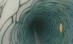 Creatură bizară, descoperită la 200 de metri sub gheaţa din Antarctica (VIDEO)