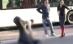 Bărbatul lovit şi abandonat pe trecerea de pietoni, jefuit în timp ce zăcea pe asfalt (VIDEO)