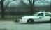 Câine la închisoare, după ce a atacat o maşină de poliţie (VIDEO)
