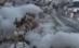 Zăpadă a acoperit cireşii înfloriţi din Japonia (VIDEO)