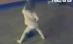 Trist sau amuzant? Nu ştie să vorbească, dar dansează la bară (VIDEO)