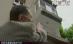 Romeo şi Julieta de Dorobanţi. A căzut de la etajul doi, încercând să ajungă la balconul iubitei (VIDEO)