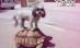 Un câine a găsit un nou mijloc de locomoţie: broasca ţestoasă (VIDEO)