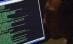 Letonia. Un hacker a recunoscut că a publicat veniturile funcţionarilor de rang înalt