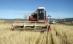 Ministerul Agriculturii reduce subvenţiile pentru fermieri. Federaţiile se pregătesc de proteste