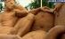 Letonia. 15 artişti din nouă ţări participă la Festivalul Internaţional de Sculpturi în Nisip (VIDEO)