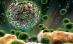 A fost testat un gel care reduce transmiterea HIV pe cale sexuală cu 50%